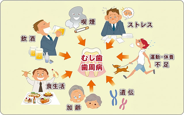 むし歯・歯周病