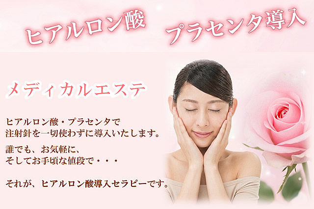 メディカルエステ